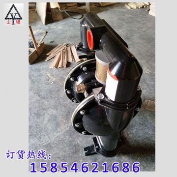 點擊查看詳細信息<br>標題：氣動隔膜泵著名品牌-氣動隔膜泵廠家 閱讀次數(shù)：2013