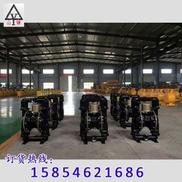 點擊查看詳細信息<br>標題：隔膜泵_氣動隔膜泵_隔膜泵價格_隔膜泵 閱讀次數(shù)：1885