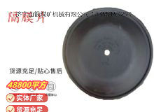 點(diǎn)擊查看詳細(xì)信息<br>標(biāo)題：氣動(dòng)隔膜泵配件-隔膜片 閱讀次數(shù)：281