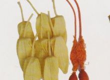 點(diǎn)擊查看詳細(xì)信息<br>標(biāo)題：取氣樣球膽 閱讀次數(shù)：224